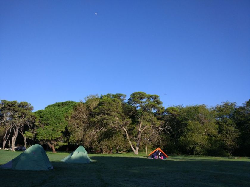 WhatsApp Image 2018-04-06 at 3.20.51 PM